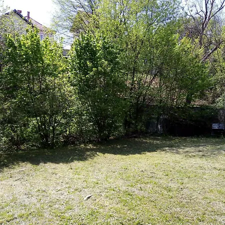 Miljkovic * Arandjelovac